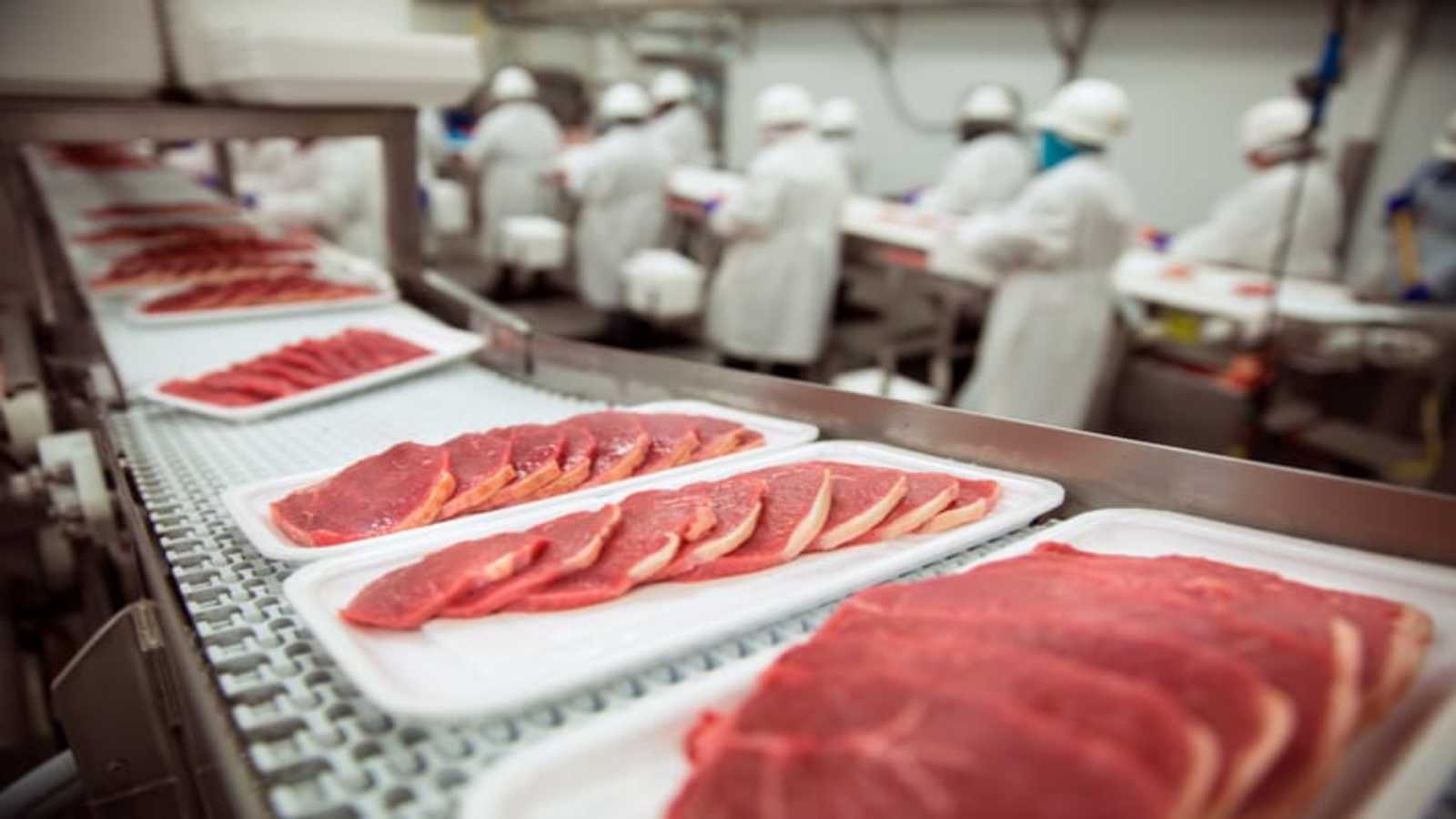 What is HACCP — and Why It Matters in Meat Manufacturing
